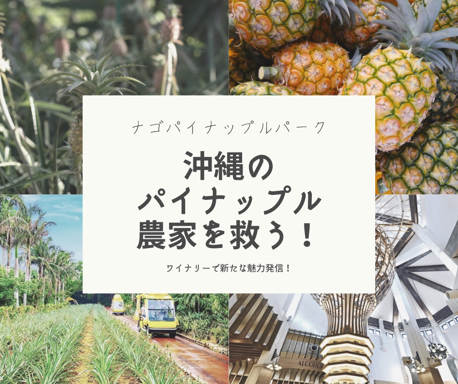 沖縄のパイナップル農家を救う！クラウドファンディング実施開始